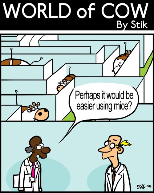 "Perhaps it would be easier using mice?"