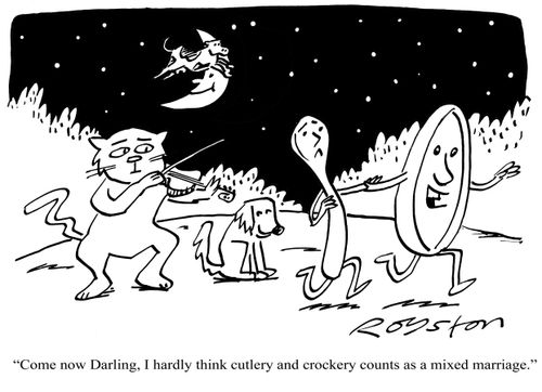 Dish says to spoon: 'Come now Darling, I hardly think cutlery and crockery counts as a mixed marriage.'