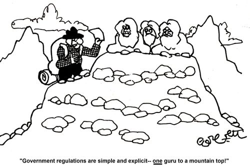 'Government regulations are simple and explicit - ONE guru to a mountain top!'