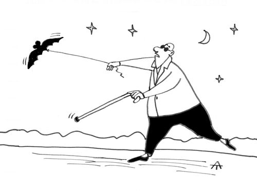 Guide bat,