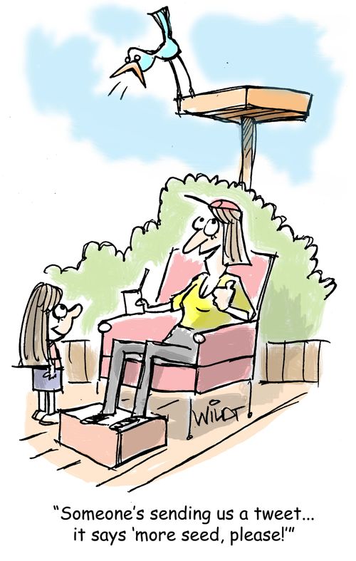 "Someone's sending us a tweet...it says 'more seed, please!'"