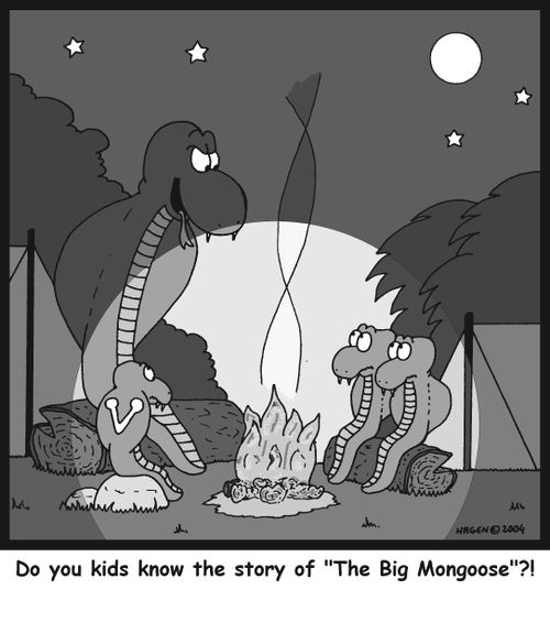 'Do you kids know the story of 'The Big Mongoose'?!'