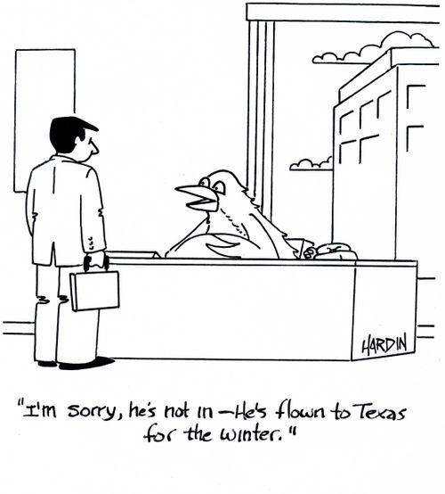 'I'm sorry, he's not in - He's flown to Texas for the winter.'