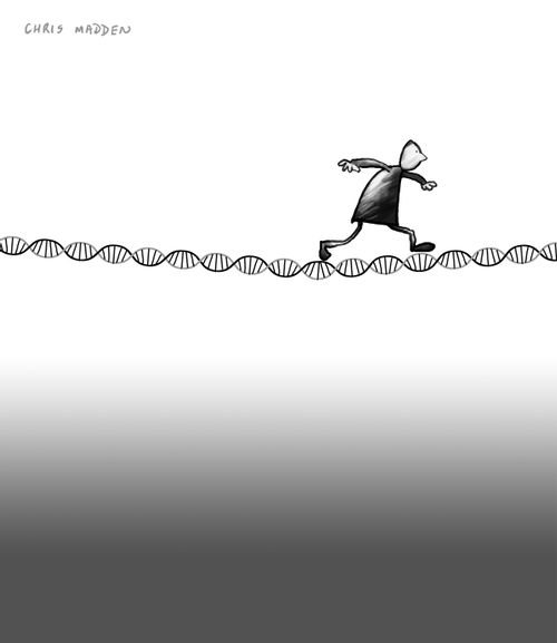 DNA strand as a tightrope, symbolising the fine balance of biological existence