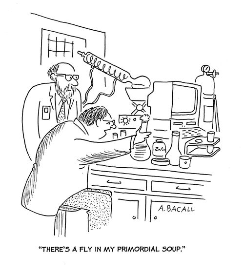 'There's a fly in my primordial soup.'