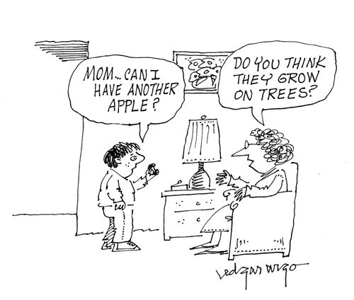 'Mom can I have another apple?'