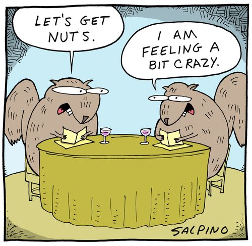 'Let's get nuts.'