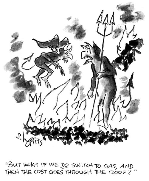'But what if we do switch to gas, and then the cost goes through the roof?'
