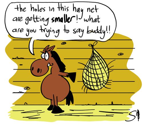 'The holes in this hay net are getting smaller! What are you trying to say buddy?!'