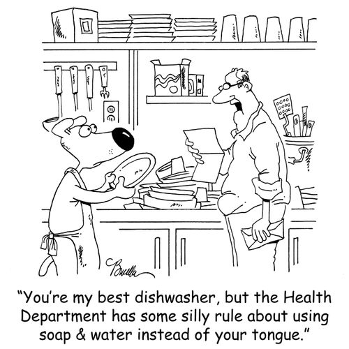 'You're my best dishwasher, but the Health Department has some silly rule about using soap & water instead of your tongue.'
