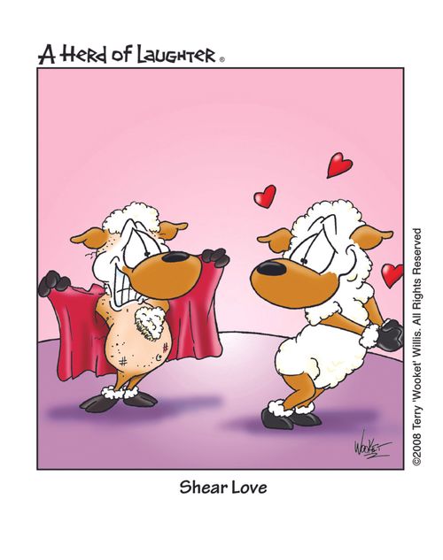 Shear Love.