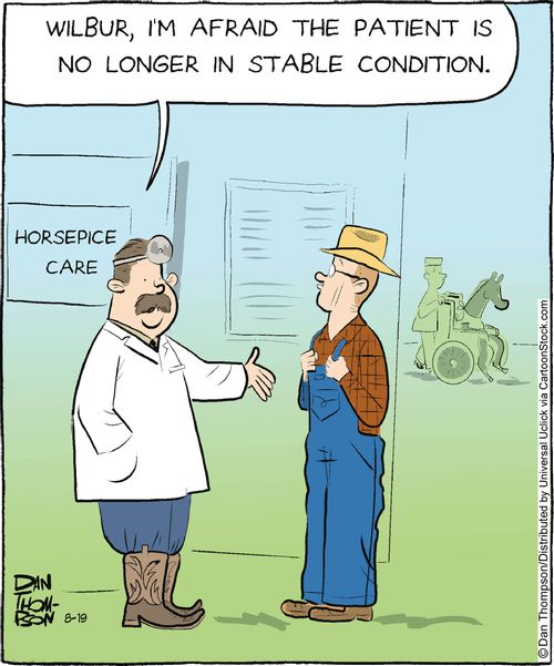 'Wilbur, I'm afraid the patient is no longer in stable condition.'
