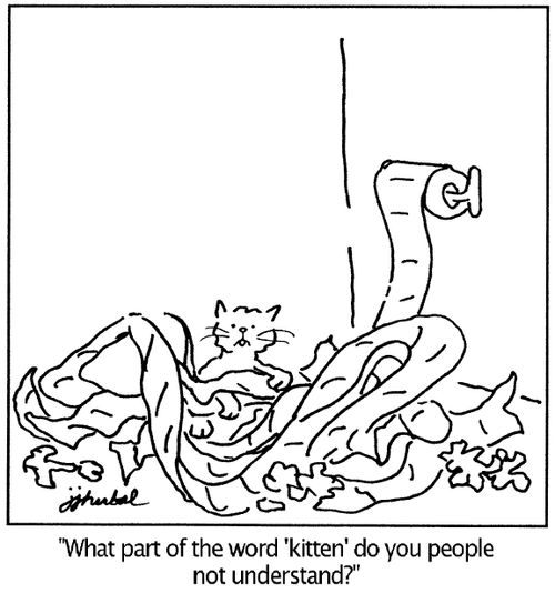 Kitten is playing in a mountain of toilet paper 'What part of the word 'kitten' do you people not understand?'