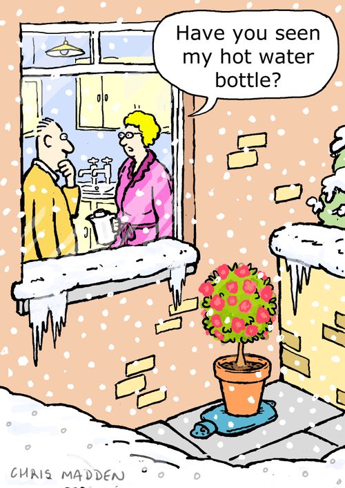 "Have you seen my hot water bottle?"