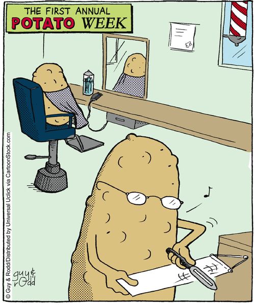 Potato having a shave.