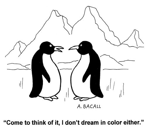 'Come to think of it, I don't dream in colour either.'