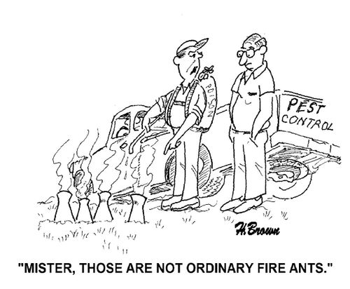'Mister, those are not ordinary fire ants.'
