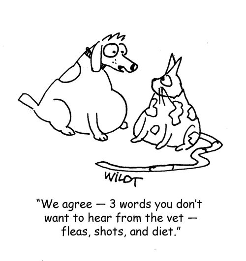 "We agree - 3 words you don't want to hear from the vet - fleas, shots, and diet."