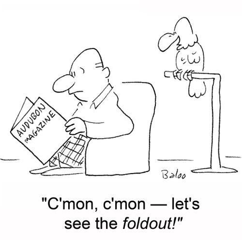 'C'mon, c'mon -- let's see the foldout!'