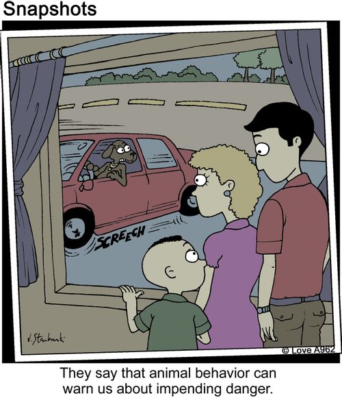 They say that animal behavior can warn about impeding danger.