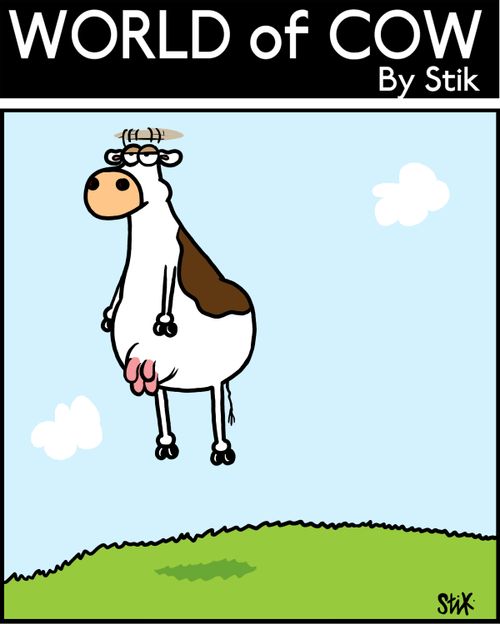 Flying cow.