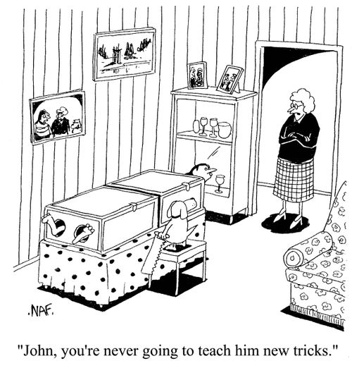 'John, you're never going to teach him new tricks.'