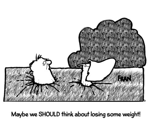 'Maybe we should think about losing some weight!'