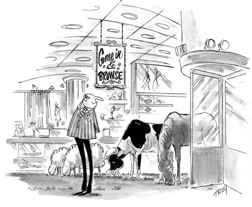 Come in and browse.