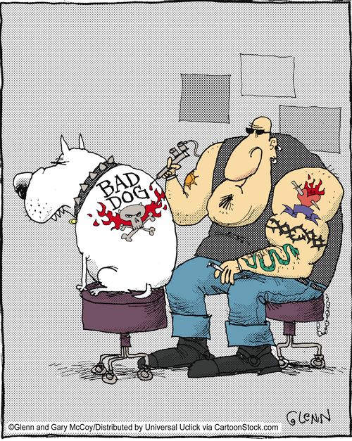 Bad dog.