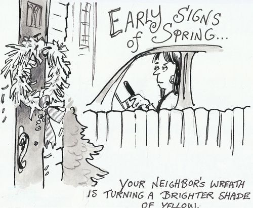 Early Signs of Spring - Your neighbor's wreath is turning a brighter yellow.