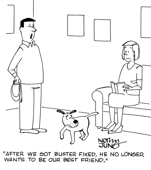 "After we got Buster fixed, he no longer wants to be our best friend."