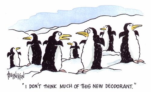 "I don't think much of this new deodorant"