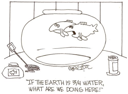 'If the Earth is 3/4 water, what are we doing here!'