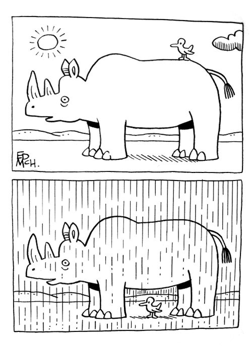Rhino bird in the rain