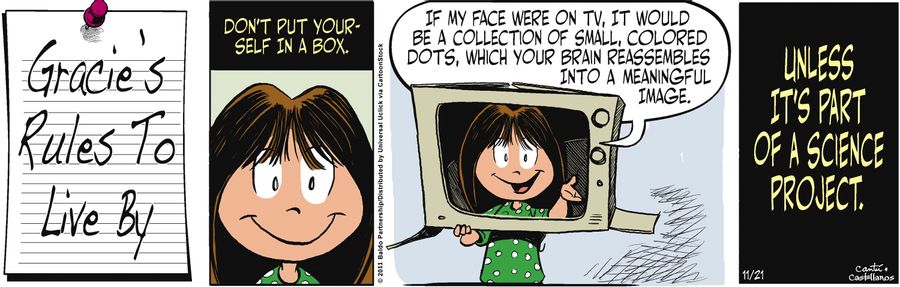 "If my face were on TV, it would be a collection of small, colored dots, which your brain reassembles into a meaning image."