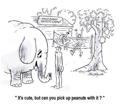 'It's cute, but can you pick up peanuts with it?'