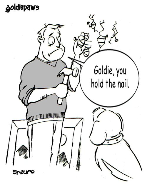 Goldie, you hold the nail.