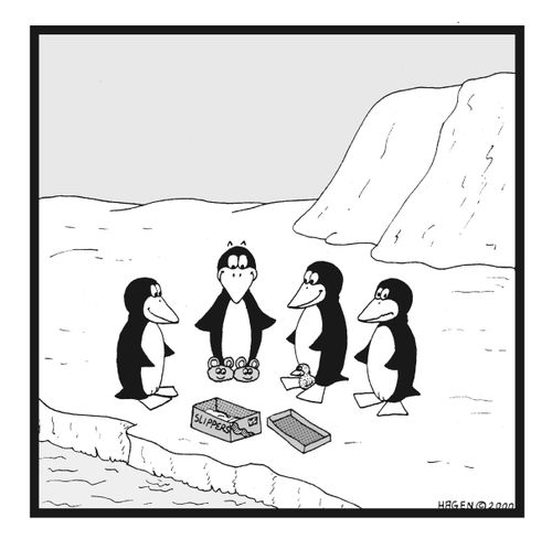 Penguin wearing Slippers