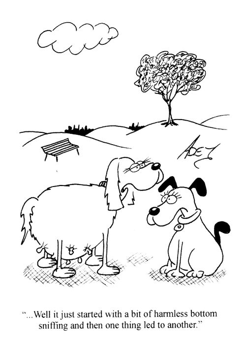 '...Well it just started with a bit of harmless bottom sniffing and then one thing led to another.'