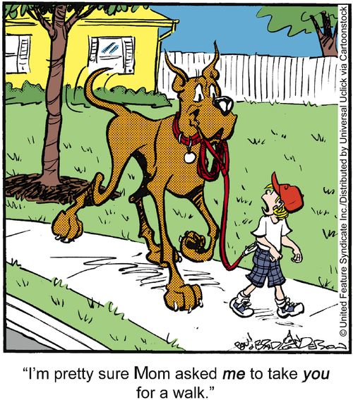 'I'm pretty sure Mom asked me to take you for a walk.'