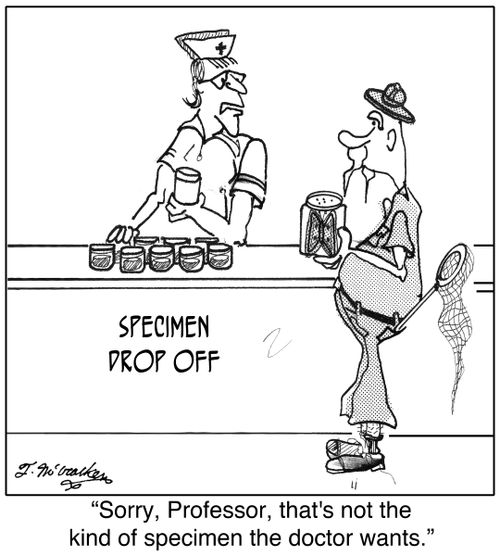 'Sorry, Professor, that's not the kind of specimen the doctor wants.'
