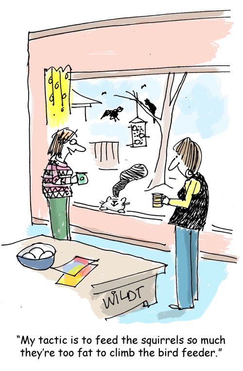 "My tactic is to feed the squirrels so much they're too fat to climb the bird feeder."