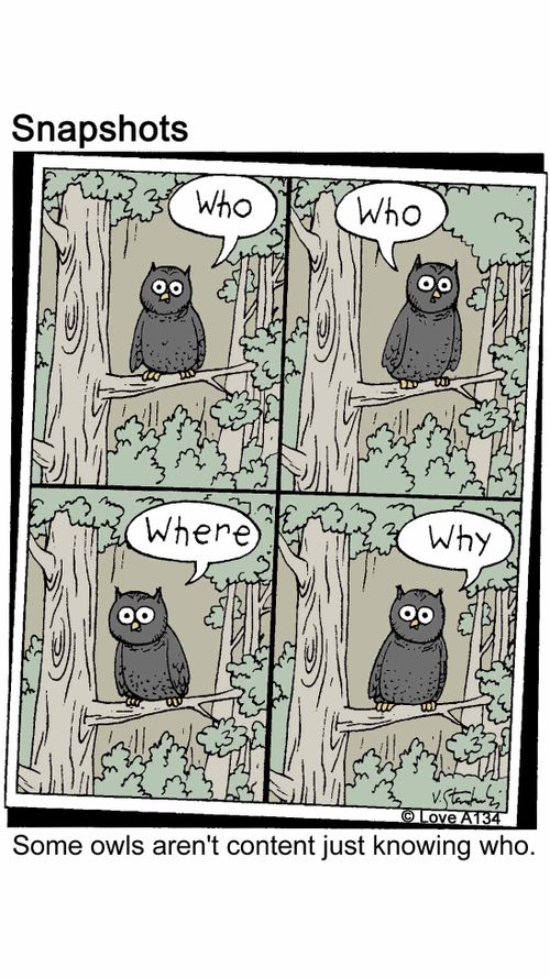 Some owls aren't content just knowing who.