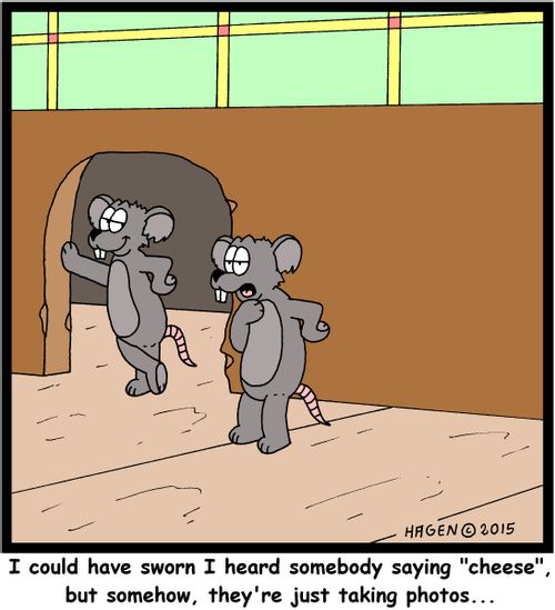 "I could have sworn I heard somebody saying "cheese", but somehow, they're just taking photos..."