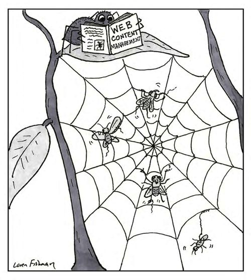 Web Content Management