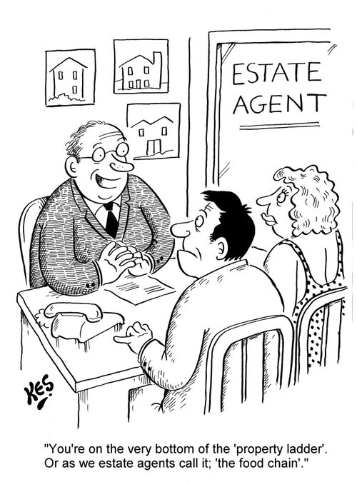'You're on the very bottom of the 'property ladder'. Or as we estate agents call it; 'the food chain'.'