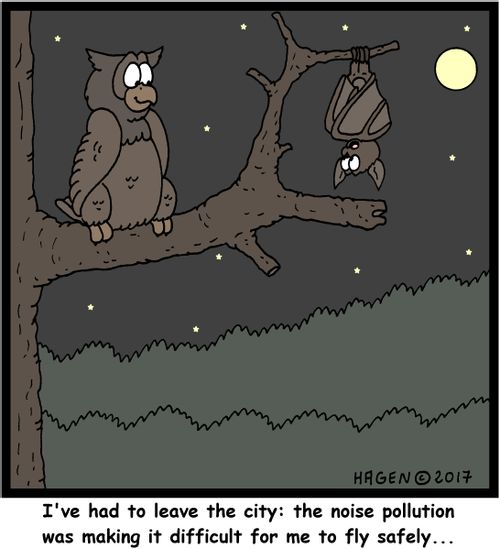"I've had to leave the city: the noise pollution was making it difficult for me to fly safely..."