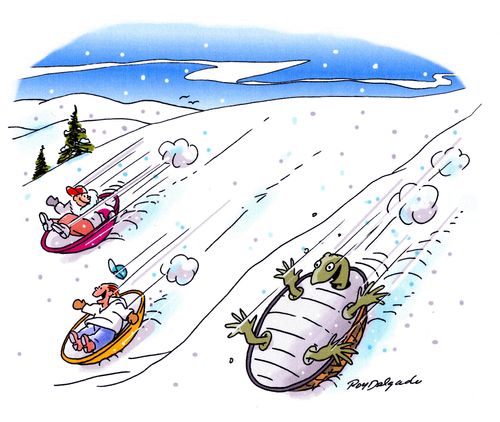 Turtles are natural born sledders.