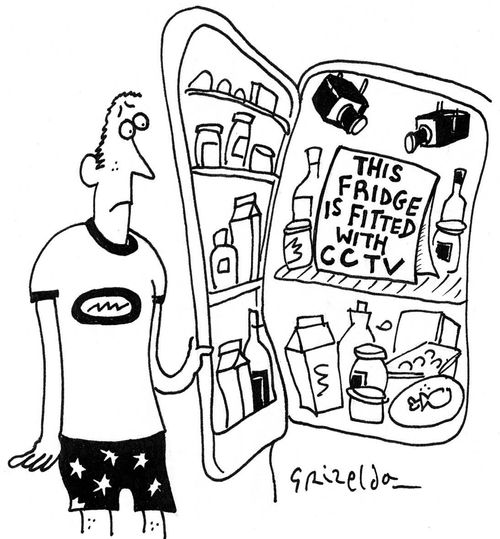'This fridge is fitted with CCTV.'