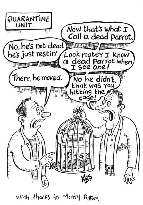 Bird flu parody of Monty Python's 'Dead parrot sketch'.